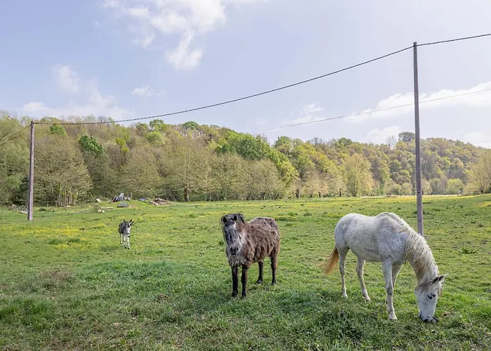 Le Moulin Pocheluberry